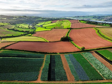 Fields and Farms at evening sun from a drone, Shaldon, Torquay, Devon, England, United Kingdom