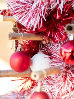 Red and white baubles decorating a festive bamboo christmas tree, celebrating holiday season