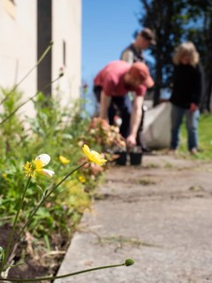 Gardeners taking care of flowers in a shared urban garden during a sunny spring day
