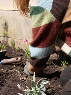 Gardener planting seedlings in fertile soil, nurturing urban garden on a bright day
