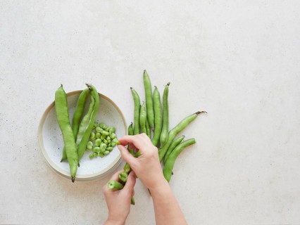 Hands shelling fresh broad beans, also known as fava beans, on a kitchen counter, ready for a