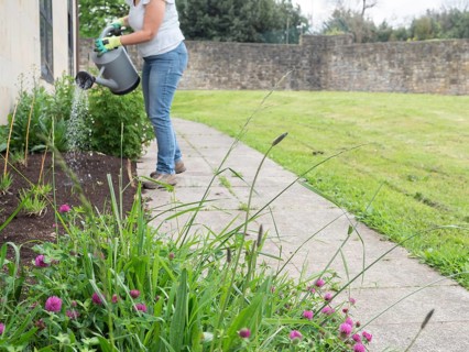 Woman gardener watering plants in a flower bed next to a pathway and a stone wall
