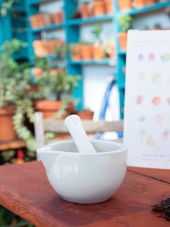 White mortar and pestle on wooden table with color chart and blurred background of plants on