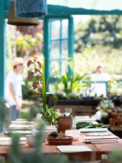 Workshop table prepared with flowers, vegetables, notebooks and tools for creating natural inks and