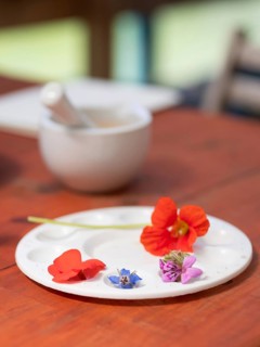 Fresh flowers and vegetables arranged on a palette, ready for preparing natural inks and pigments,
