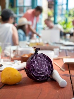 Artists creating natural inks and pigments using red cabbage, lemon and other organic materials