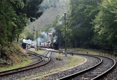 Steam locomotive, steam locomotives double exit on the Harz Narrow Gauge Railway, HSB, in the Harz