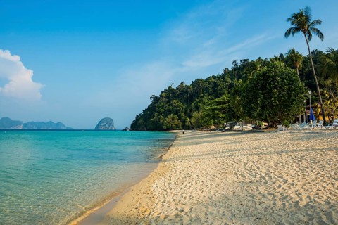 White sandy beach and coconut palms, Sunrise Beach, Koh Great white shark, Ko Ngai, Krabi Province,