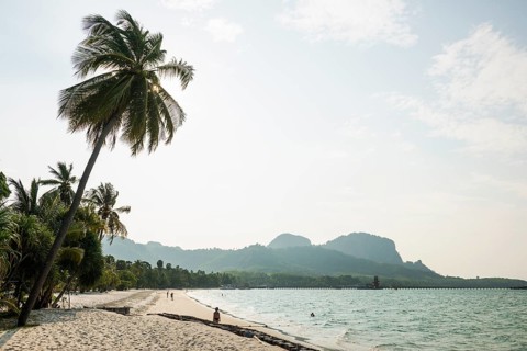 White sandy beach and coconut palms, Pearl Beach, Koh Mook, Trang Province, Southern Thailand,