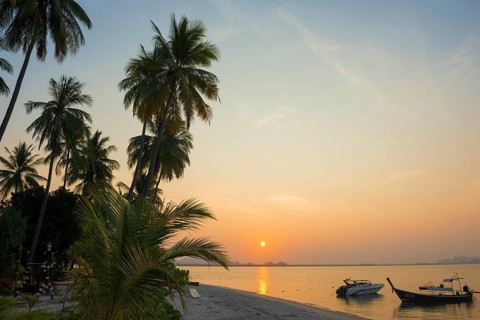White sandy beach and coconut palms, sunset, Pearl Beach, Koh Mook, Trang Province, Southern