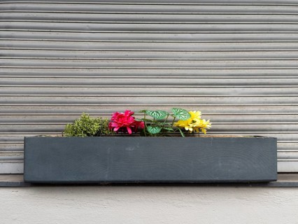 Flower box with artificial colorful flowers in front of closed shutter, Wuppertal, Germany