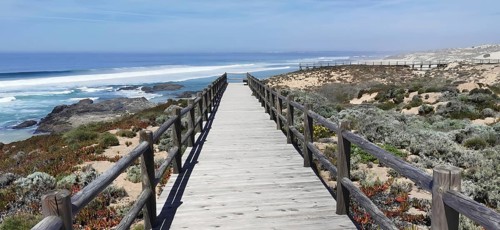 Wooden trail leads through vegetation with sea views in clear skies, hiking on the Fisherman's