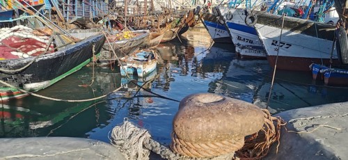 Colourful fishing boats moored in port, with ropes and calm water, Essaouira, Morocco