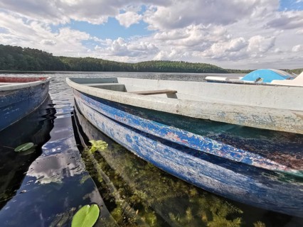 Rowing boat on Springsee on a cloudy day with green landscape, Dahme-Heideseen, Brandenburg