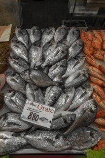 Sea bream (Sparus aurata) at the Rialto fish market, Venice, Veneto, Italy