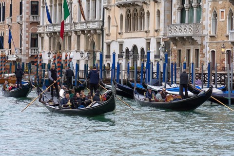 Gondola rides on the Grand Canal, Venice, Veneto, Italy