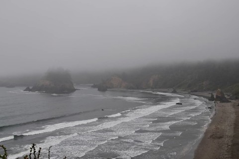 A mist-covered coastline with gentle waves and a dull beach atmosphere, Redwood National Park,