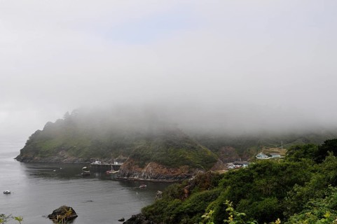A misty coastal scene with calm water, small boats, and a wooded hill, Redwood National Park,