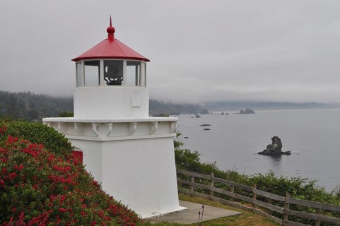 White lighthouse with red roof on foggy coast, rocks in water surrounded by green vegetation,