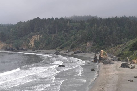 View of foggy beach with waves and rocks against a wooded, mystical background, Redwood National