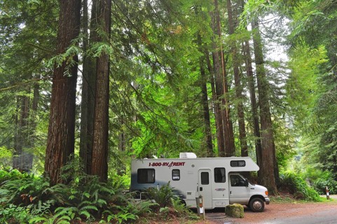 Motorhome in a green forest, surrounded by tall trees, coast redwood (Sequoia sempervirens),