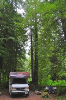 Motorhome in the forest, coast redwood (Sequoia sempervirens), idyllic atmosphere, picnic area,