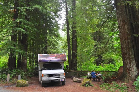 Motorhome next to picnic tables in a green forest, coast redwood (Sequoia sempervirens), a feeling