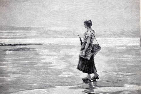 Lonely woman on the beach with a basket for collecting mussels, 1891, Holland, North Sea,