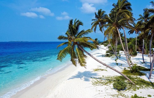Bird's eye view of turquoise blue lagoon and bright white beach sandy beach beach with coconut