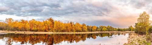 A quiet lake with autumnal moor forest on the shore reflecting the sky and clouds, Gildehauser