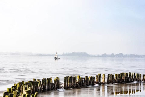 Ice sailor on frozen Dümmer Lake, wooden barriers on the shore, sunny winter day, Lembruch, Lower