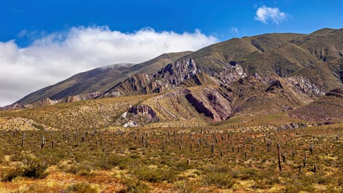 Mountains under a blue sky with cacti in the desert landscape, The landscape of the Quebrada with