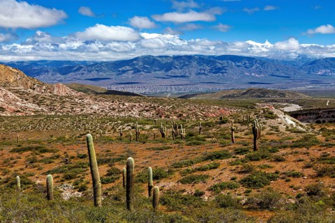 Panorama of a desert region with cacti and a mountainous horizon, The landscape of the Quebrada