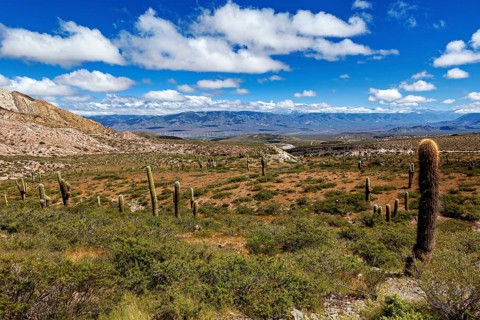 Vast landscape with cacti under a sky full of clouds, The landscape of the Quebrada with its large