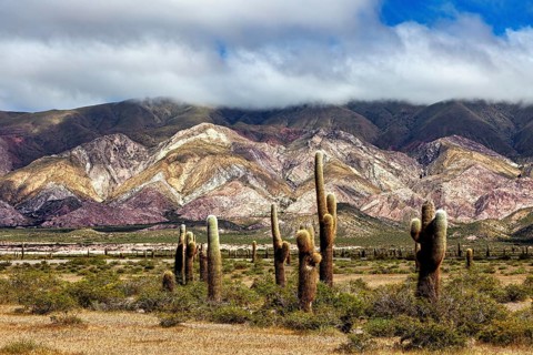 Cacti in front of undulating, multicoloured mountains and clouds, The landscape of the Quebrada