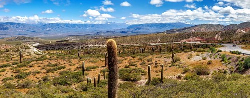 Vast desert landscape with cacti and mountains under a cloudy sky, The landscape of the Quebrada