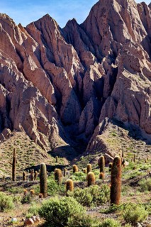 Landscape with steep rocks and cacti in a dry, sunny desert environment, The landscape of the