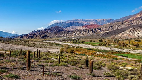 Vast desert landscape with cacti, mountains and a valley in the background, The landscape of the