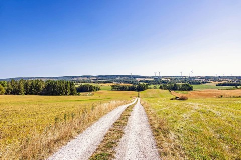 Scenic rural landscape view with a dirt road leading through open fields. Several wind turbines