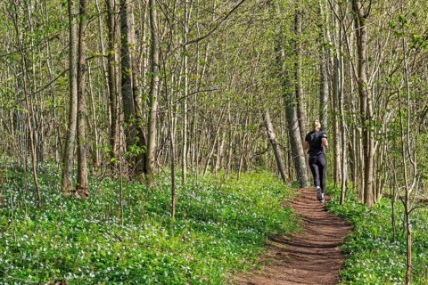 Peaceful forest scene with a young woman jogging along a path surrounded by fresh spring greenery