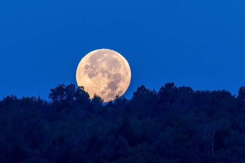 The moon disappearing behind the horizon at dawn, Region of Center Quebec, Province of Quebec,
