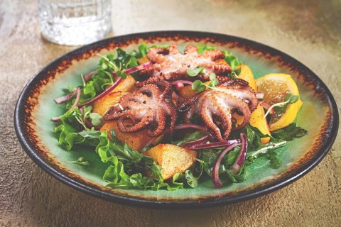 Warm salad, grilled mini octopus, with potatoes and fresh herbs, homemade, no people