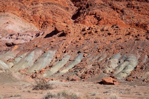 Lee's Ferry, Arizona - Rock formations at Lee's Ferry on the Colorado River at the north end of the