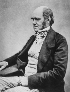 Charles Robert Darwin (12 February 1809 in Shrewsbury - 19 April 1882) . British natural scientist.
