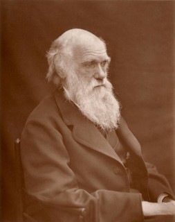 Charles Robert Darwin (12 February 1809 in Shrewsbury - 19 April 1882) . British natural scientist.
