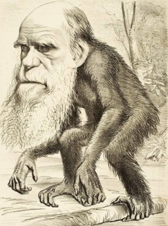 Charles Robert Darwin (12 February 1809 in Shrewsbury - 19 April 1882) . British natural scientist.