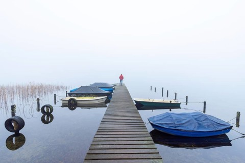 Rowing boats, rowboats moored to wooden jetty at Lake Ratzeburg, Ratzeburger See in mist, Lauenburg