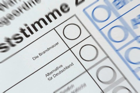 Symbolic ballot paper with the FIREWALL option in the place where there are otherwise parties