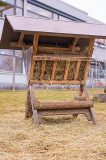 Wooden hay rack stands in a meadow with some haystalks, Schlehengäu Grund Schule Gechingen, Calw