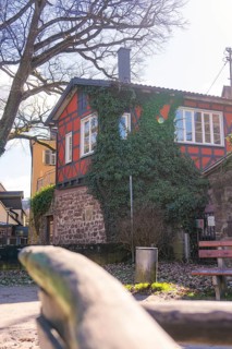 Cosy half-timbered house with ivy surrounded by trees on a sunny day, Calw, Calw district, Germany